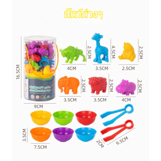 BHQ เกมส์แยกสี Montessori ของเล่นคัดแยกสี การฝึกมือเด็ก ของเล่นเพื่อการศึกษา