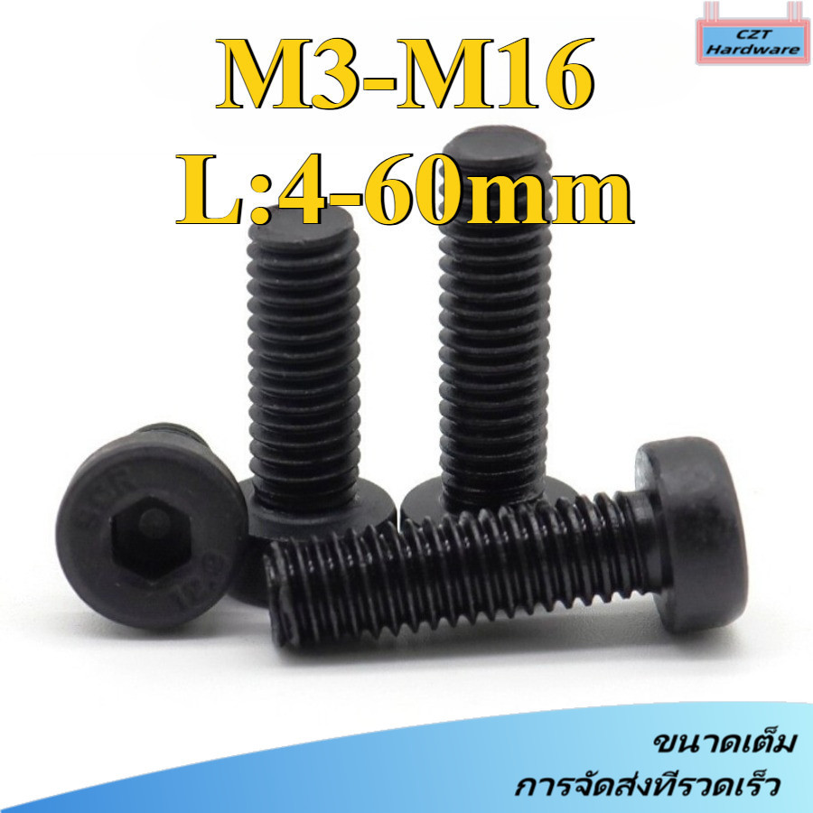 น็อตหัวจมบาง เกรด 12.9 แข็งพิเศษ เกลียวมิล ตลอด สกรู /Hexagon Socket Head Cap Screws Low Head M3/M4/