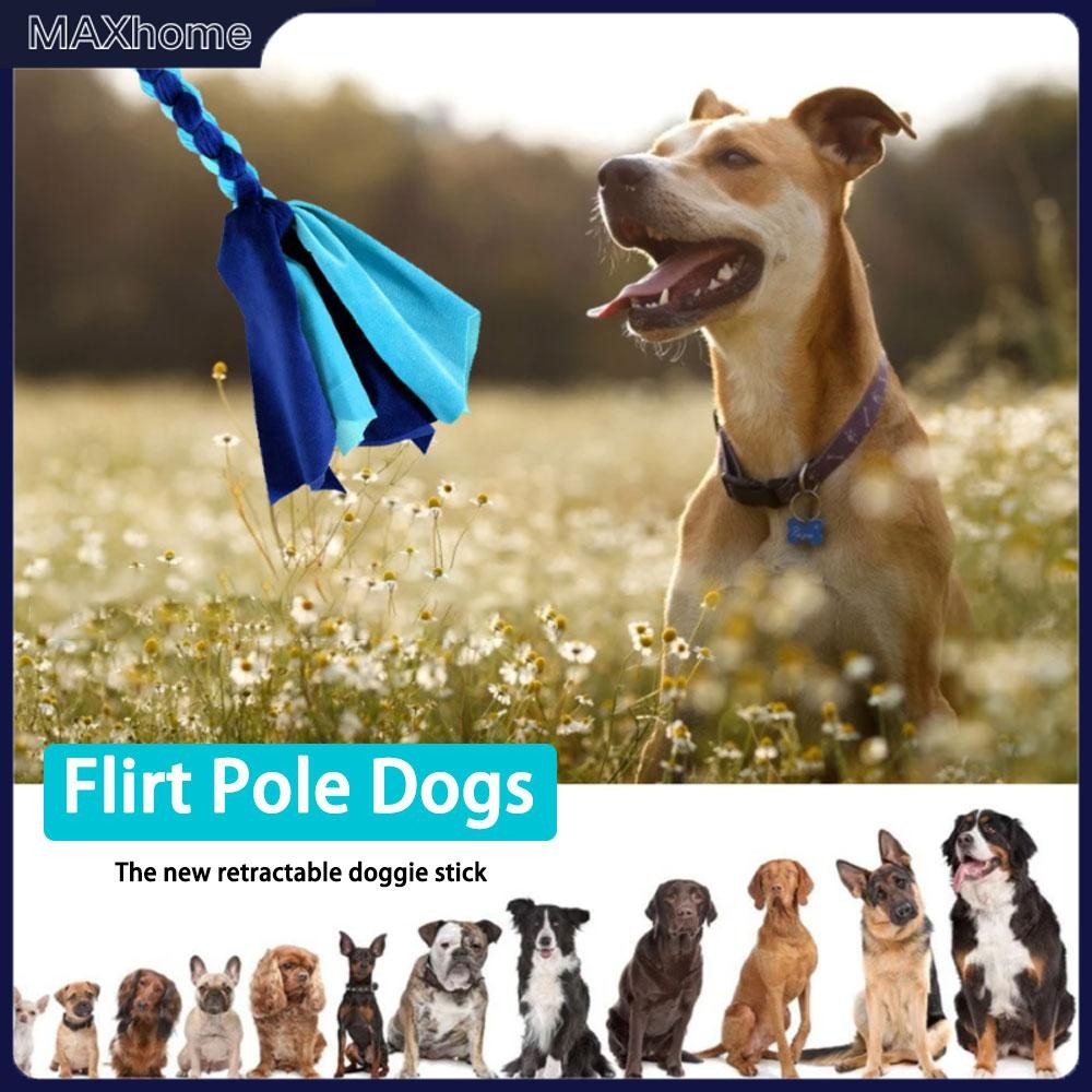 Dog Lure Pole Stick Interactive Chew Toy Pet Teaser Wand Training การออกกําลังกาย SHOPTKC9382