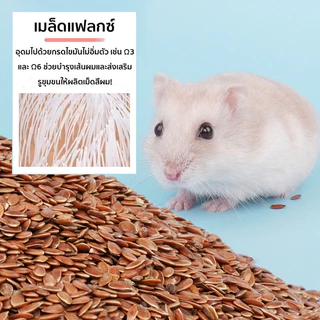 แฮมเตอร์ อาหารชูก้า หนูแฮมเตอร์ อาหารกระรอก 460g สูตรธัญพืชจากธรรมชาติล้วนๆ ไร้สารปรุงแต่งใดๆ