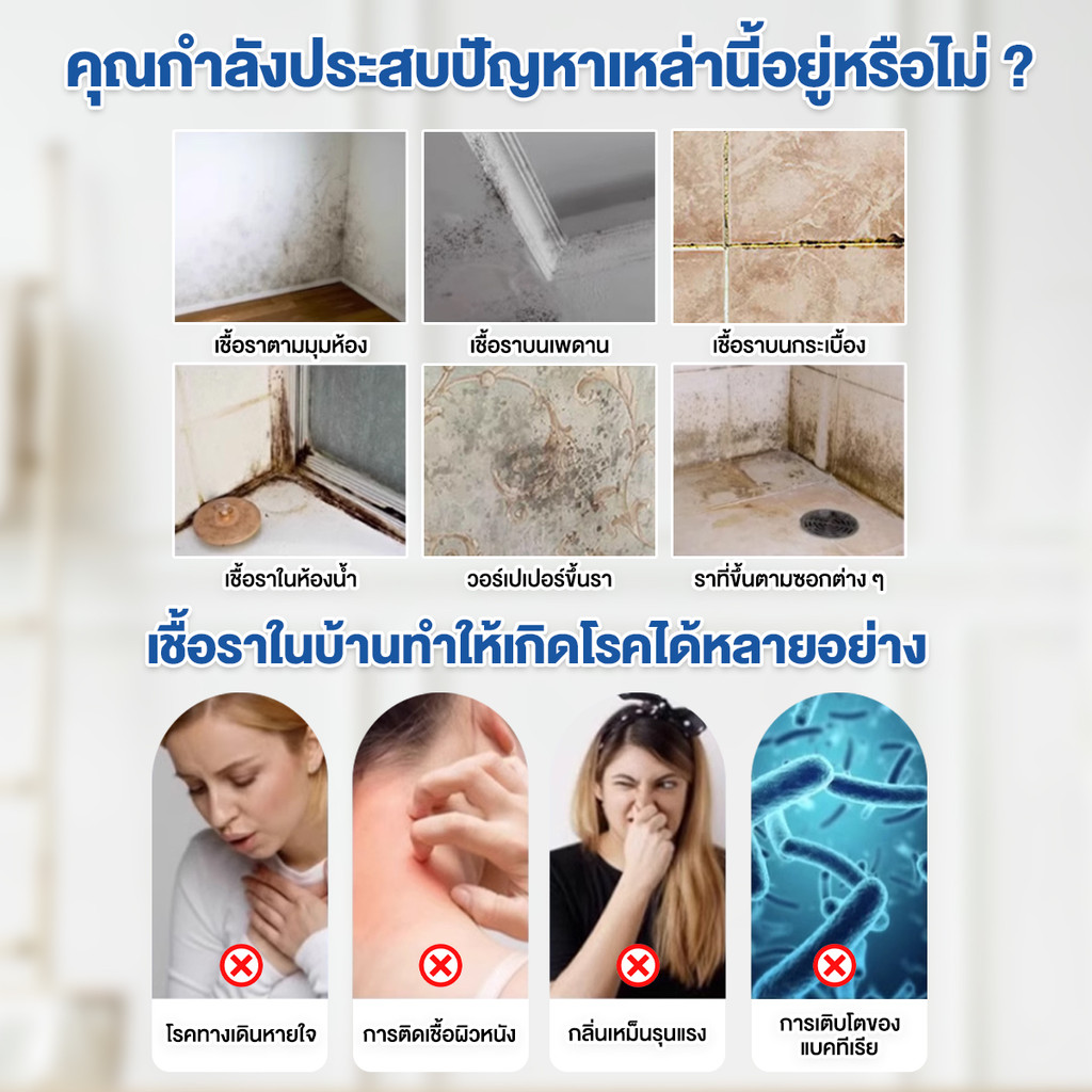 【Agate ของแท้】น้ำยาเช็ดเชื้อรา 500ML สเปรย์กำจัดเชื้อรากำแพง สเปรย์ฆ่าเชื้อรา บอกลากับผนังและเฟอร์นิเจอร์ที่เป็นเชื้อรา รูปที่ 8