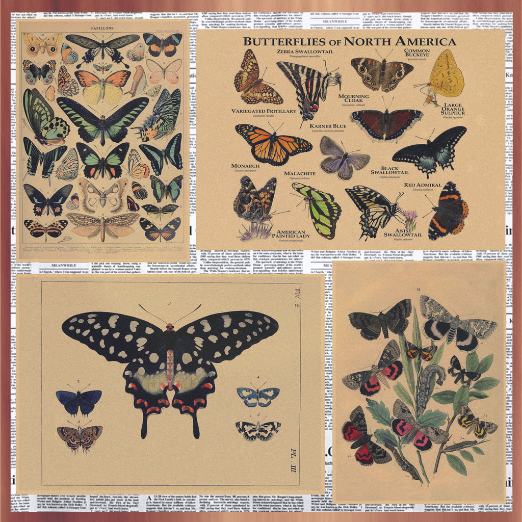 Butterfly Illustrated Book Retro กระดาษคราฟท์โปสเตอร์ยุโรปอเมริกัน Nostalgic สไตล์มือวาดสัตว์ตกแต่งภาพวาดภาพจิตรกรรมฝาผนัง