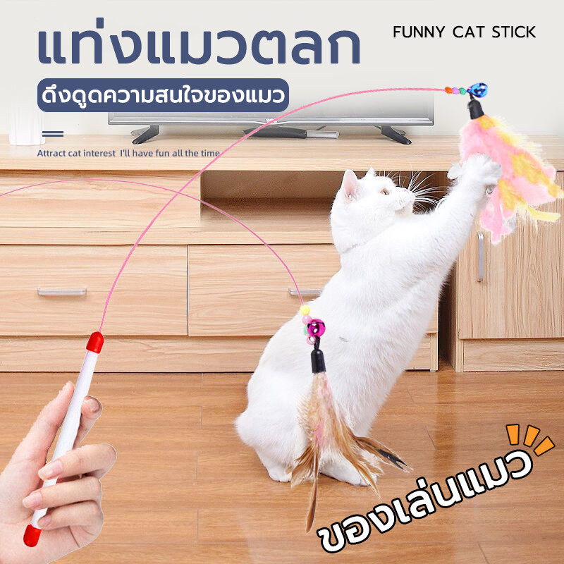 ของเล่นแมว ไม้ตกแมว แบบสปริง ไม้ล่อแมว แบบลวดสลิง ไม้แมว