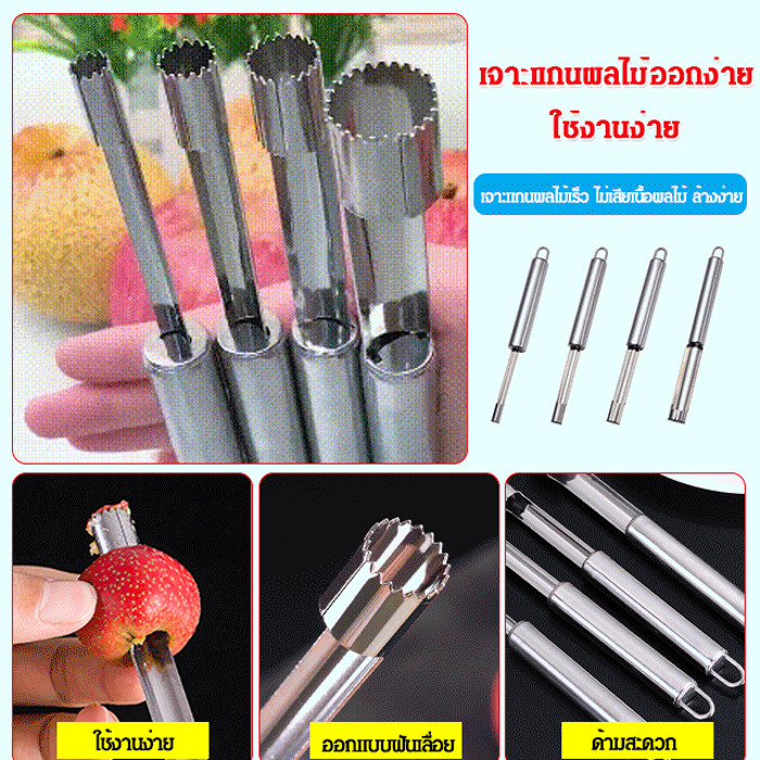 ที่เจาะแกนผลไม้ อเนกประสงค์ สแตนเลสอย่างดี เครื่องมือแกะเมล็ดแอปเปิ้ล พุทราจีน เงาะ ใช้งานง่าย จับถนัดมือ 1 ชุด 4 ขนาด - รูปที่ 2
