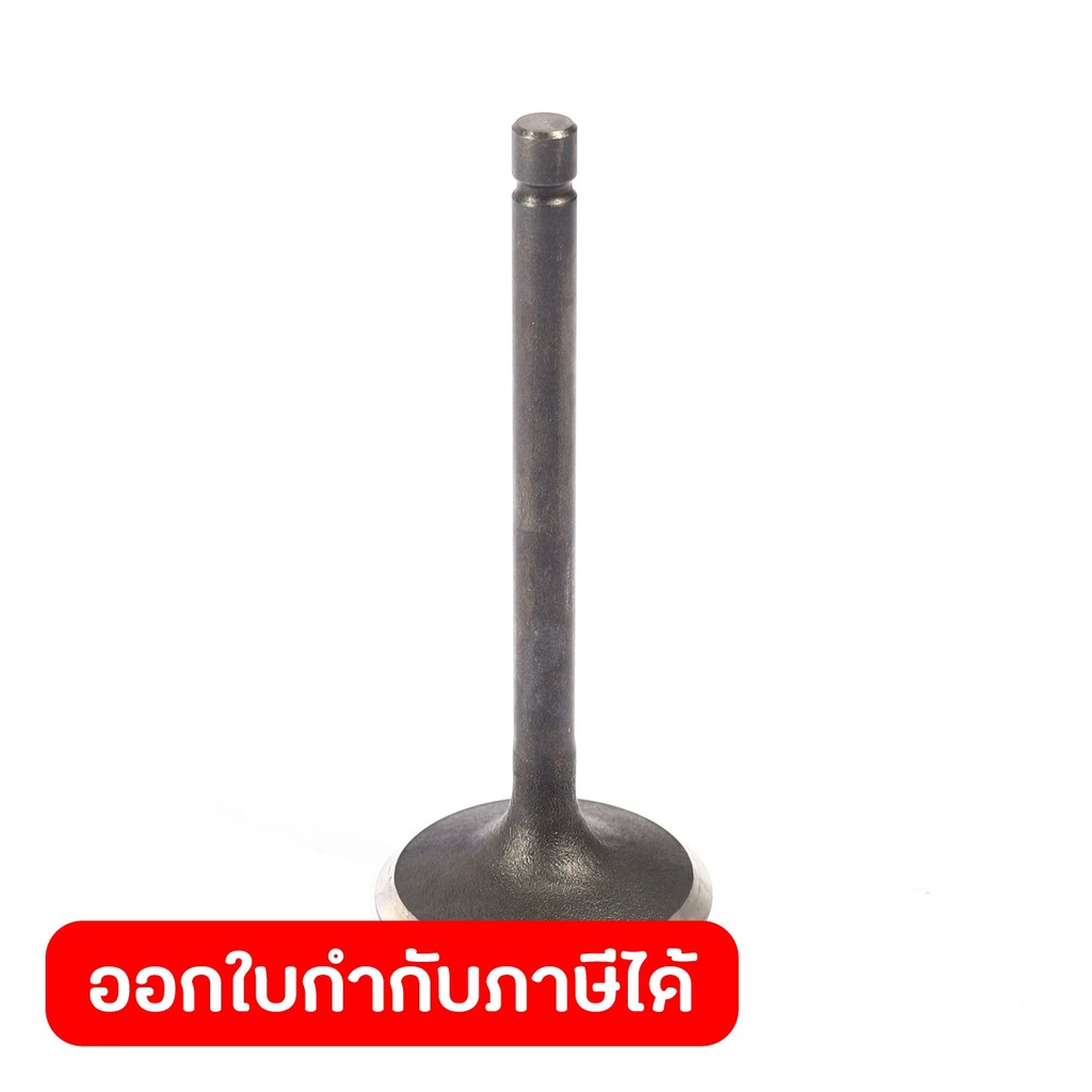 POLO อะไหล่ Valve In ใช้กับเครื่องปั่นไฟ รุ่น GT9000I (โปโล)