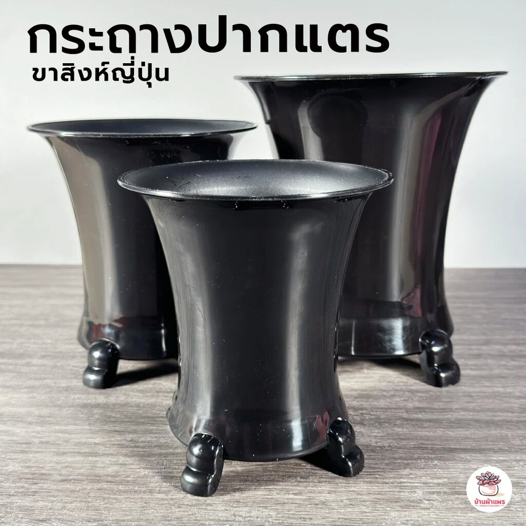 กระถางปากแตรขาสิงห์ญี่ปุ่น กระถางพลาสติก แคคตัส กระบองเพชร ไม้อวบน้ำ Cactus&Succulent