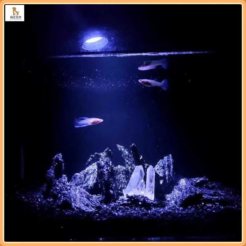 โต๊ะอาหารญี่ปุ่นตู้ปลาภูมิทัศน์ / พิพิธภัณฑ์สัตว์น้ำตกแต่งเครื่องประดับ / ไมโครภูมิทัศน์ไทยต่อสู้ปลาคริสตัลคอลัมน์ / เลียนแบบคริสตัลกระจุกภูเขาน้ำแข็งเครื่องประดับตู้ปลาที่งดงาม
