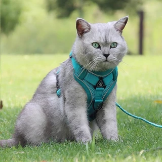 new arrival pet cat good sell สายจูงแมวสัตว์เลี้ยง ใหม่ สายจูงแมวเดินกลางแจ้ง ทนทาน ราคาถูก