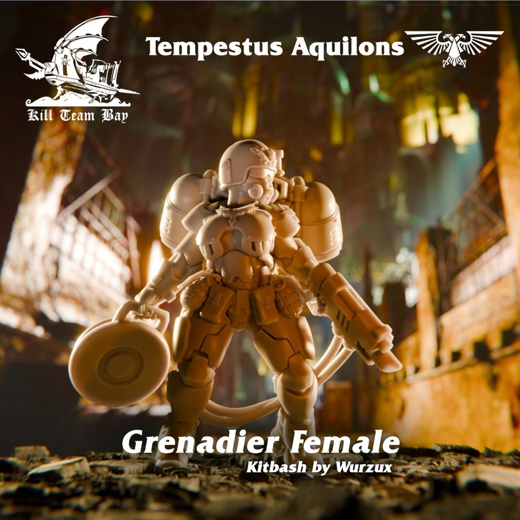 Warhammer 40K Killing Team Star Army Storm Sky Eagle ฟิล์มสีขาวพิมพ์3มิติ (ฟิล์มสีขาวไม่เป็นสี!) Pzkj