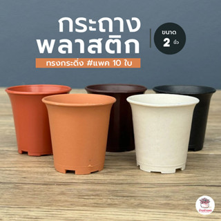 [ 10 ใบ ] กระถาง 2 นิ้ว [ กระดิ่ง ] กระถางพลาสติก แคคตัส กระ…