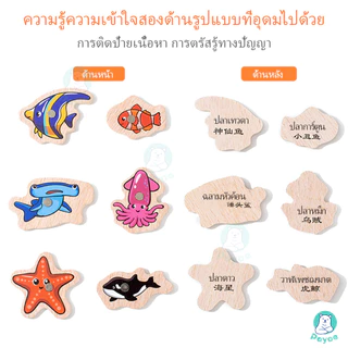 PAYOE ของเล่นปริศนา ของเล่นไม้แม่เหล็ก ของเล่นเด็ก ของเล่นตกปลาสำหรับเด็ก