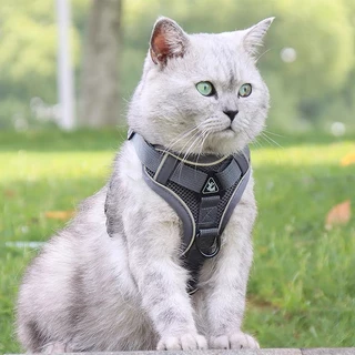 new arrival pet cat good sell สายจูงแมวสัตว์เลี้ยง ใหม่ สายจูงแมวเดินกลางแจ้ง ทนทาน ราคาถูก