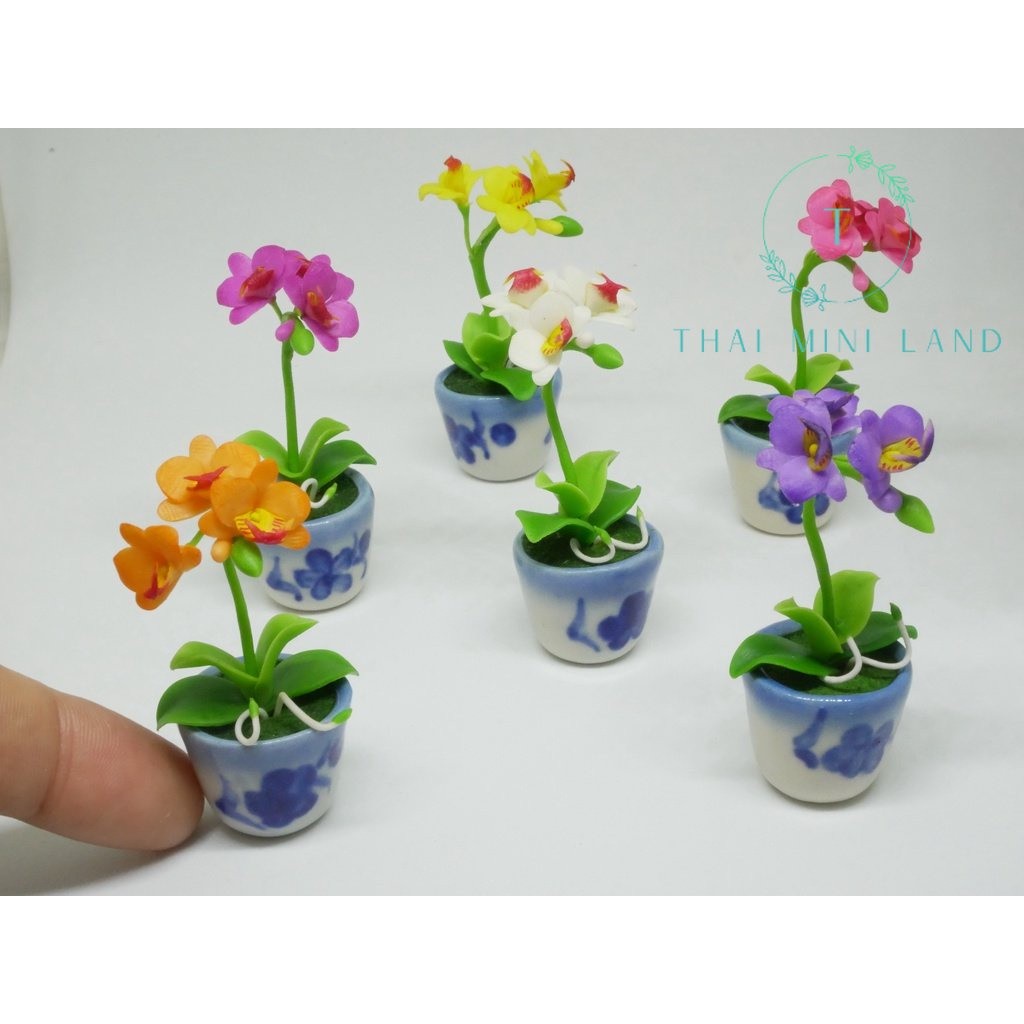 (มีหลายสี) กล้วยไม้ฟาแลนนอปซิส (Phalaenopsis) กระถางกล้วยไม้ ดอกไม้ดินปั้น ฟาแลนนอปซิส ฟาแลน กล้วยไม
