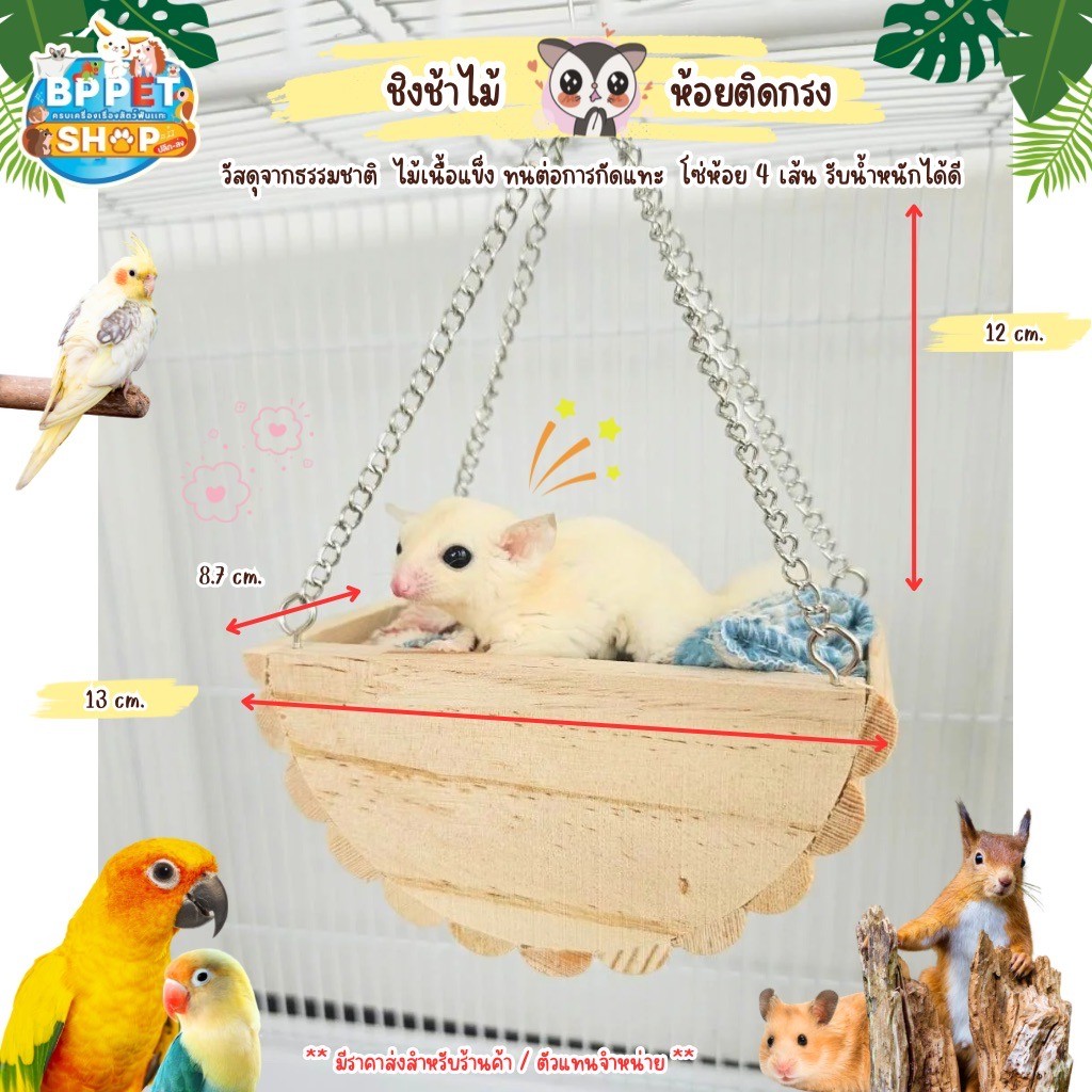 ของเล่นชูก้าร์ไกลเดอร์ นกแก้ว กระรอก ชิงช้าไม้มีโซ่ ของเล่นสัตว์เล็ก