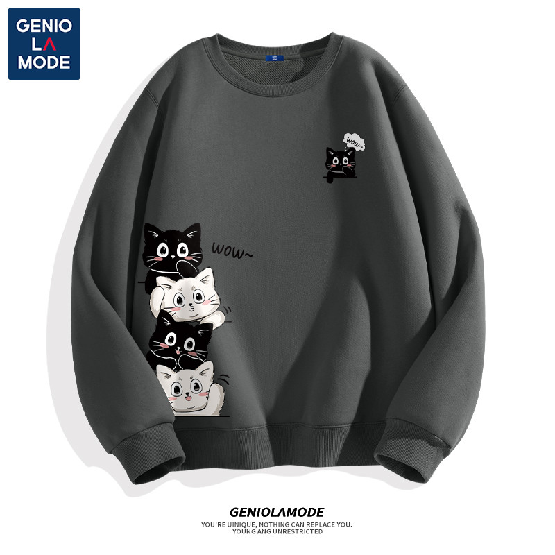 รูปภาพ 8