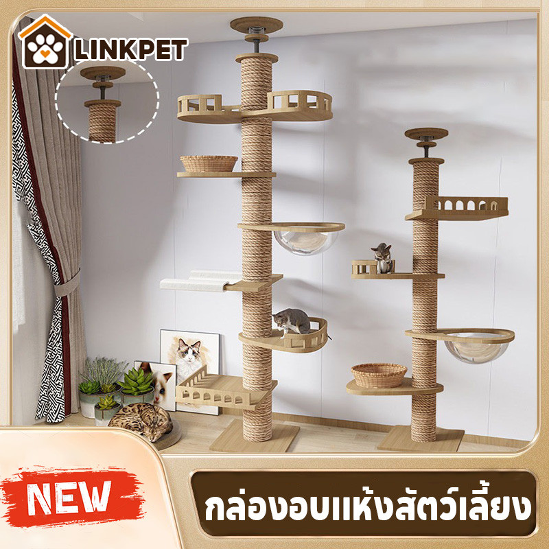 คอนโดแมวติดเพดาน โครงปีนแมว cat tower ไม่ต้องเจาะ แท่นเสาปีนป่าย 260cm แข็งแรงไม่ล้มง่าย