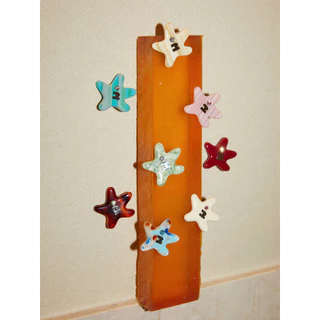 Tagi. Star Hair Clips เครื่องประดับผมผู้หญิง กิ๊บติดผม