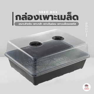 กล่องเพาะเมล็ด แคคตัส กระบองเพชร cactus&succulent