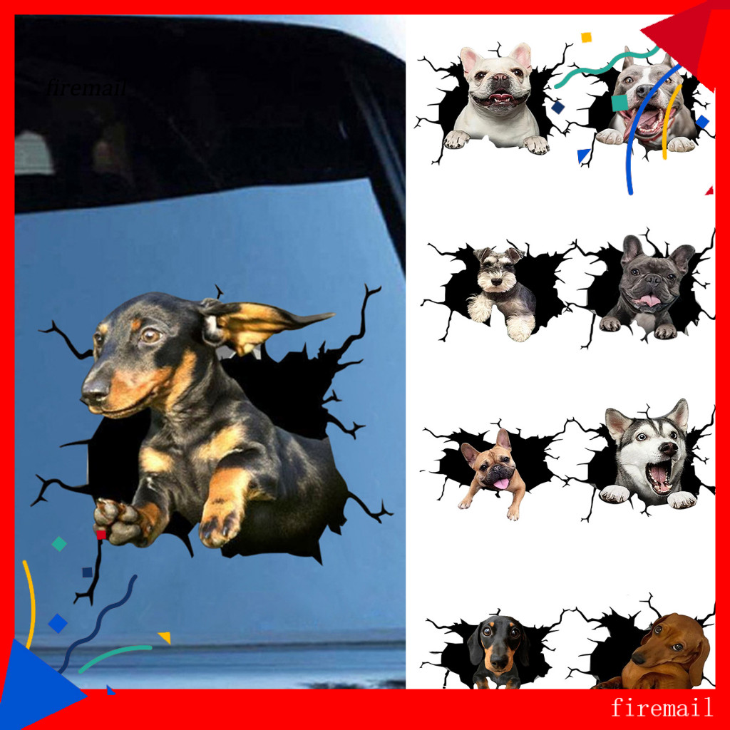 [FM] รูปลอกรถทนต่อการสึกหรอสําหรับรถยนต์ 3D สติกเกอร์สัตว์ตลก Crack Decals 3D Effect