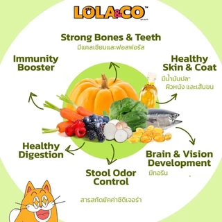 [ยกกระสอบ 7 kg.] LOLA&CO อาหารแมว โลล่า แอนด์ โค อาหารเม็ดแมว ไม่มีผลพลอยได้ สำหรับแมวโตอายุ 1 ปีขึ้นไป ขนาด 7 กก.(kg.)