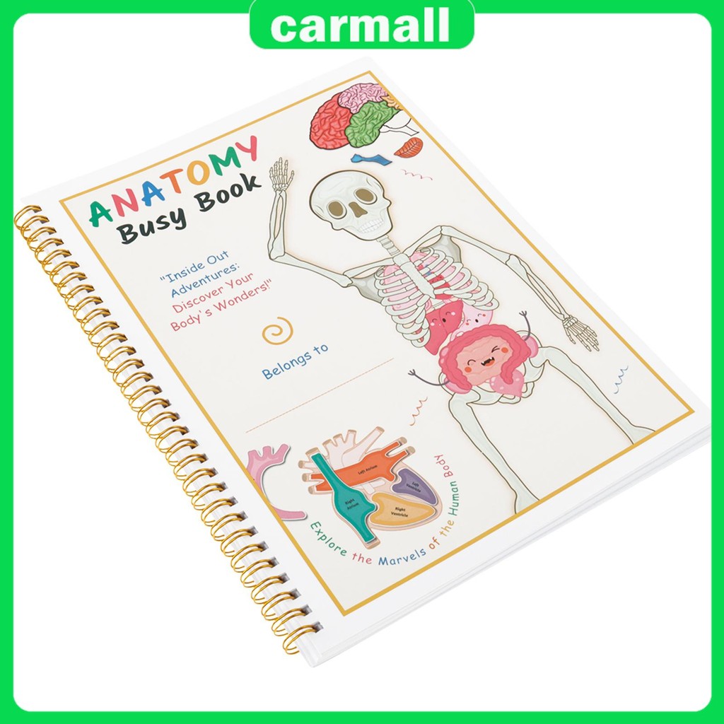 Human Anatomy Quiet Book Human Organ Match Quiet Book ก่อนวัยเรียน Interactive Anatomy Quiet Book สํ