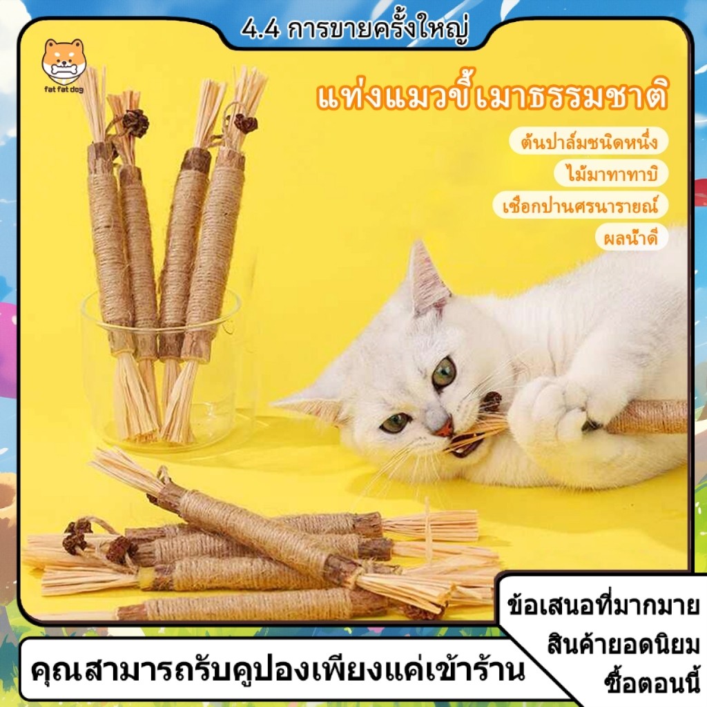 ไม้แมวเมา อันใหญ่ ไม้ขัดฟันแมว มาทาบิ ไม้มาทาทาบิ ของเล่นแมว ลดคราบหินปูน กัญชาแมว ขนาดเหมาะกับแมวมากที่สุด Teeth stix