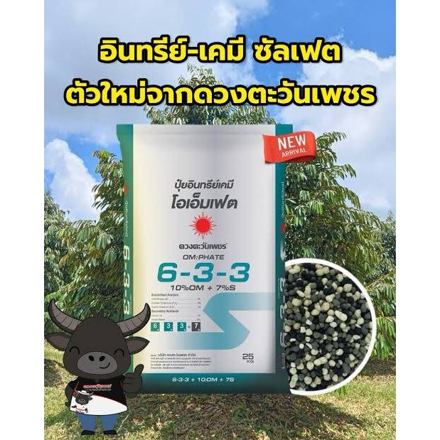 (ยกกระสอบ25kg) 6-3-3 ซัลเฟต โอเอ็มเฟต #ดวงตะวันเพชร อินทรีย์เคมี ปุ๋ยซัลเฟต ขนาด25กก #แอลเจอะโกร