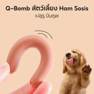 YTL ไส้กรอก ขนมขบเคี้ยว สําหรับฝึกสัตว์เลี้ยง สุนัข แมว 15 กรัม