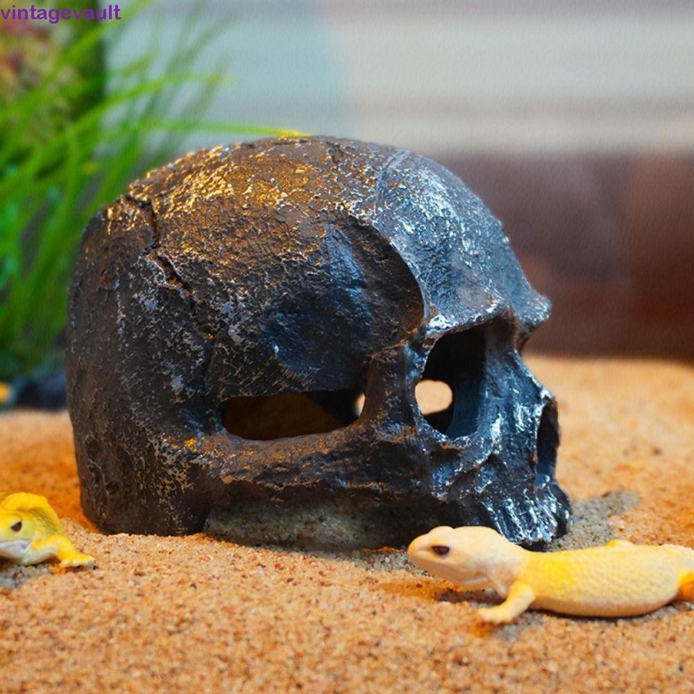 VINTAGEVAULT เครื่องประดับหัวกะโหลก, จําลองสมจริง Skull Head รูปปั้น, กุ้งปลา Hiding Cave เรซิ่นตกแต่งหัวกระดูกรุ่นตกแต่งฮาโลวีน