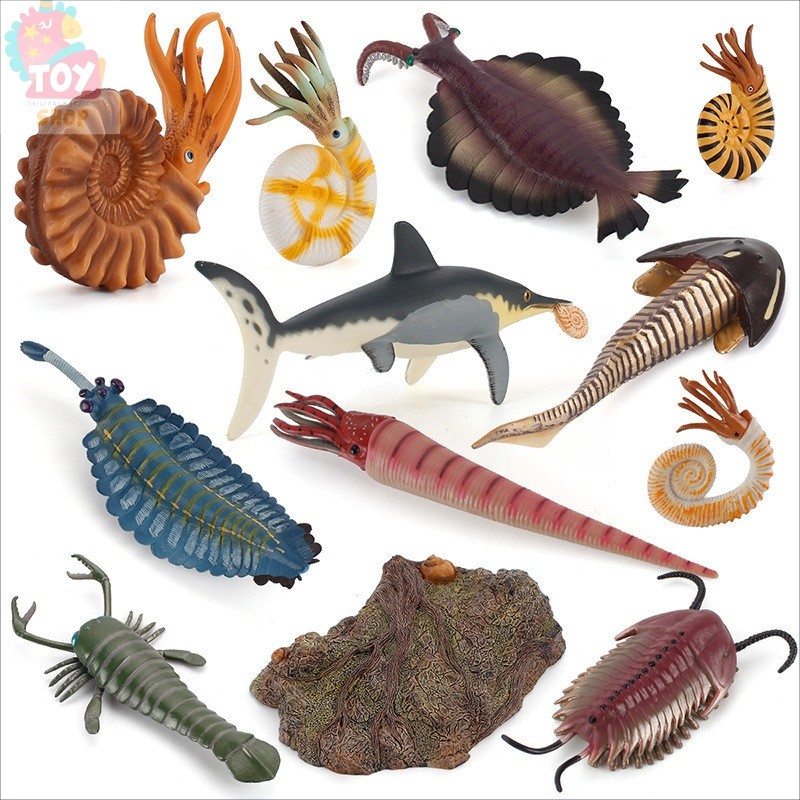 ของเล่นโมเดลสัตว์ทะเล เต่า กุ้ง แมงป่องจําลอง ไมโครสโคป สไตล์โบราณ