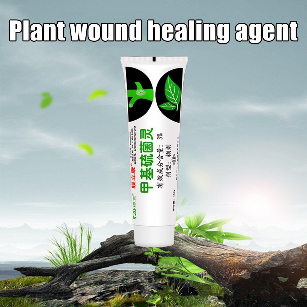 ร้านอยู่กทม. 150g ยาทาแผลต้นไม้ สำหรับต้นไม้หลายชนิด ด่าง บุษราคัม เสน่จันทร์บอนไซ ป้องกันเชื้อรา  สำหรับไม้ด่าง - รูปที่ 4