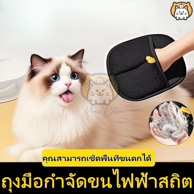 COD ถุงมือกําจัดขนไฟฟ้าสถิตสําหรับสัตว์เลี้ยงถุงมือกรูมมิ่งสัตว์เลี้ยงสองด้านสองด้านแปรงแบบสองทิศทางสิ่งประดิษฐ์ผมเหนียว