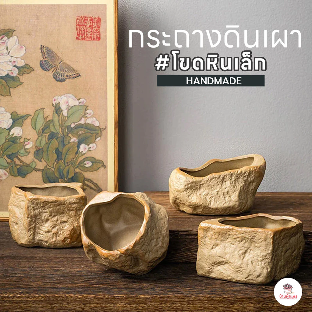 กระถางดินเผา กระถางโขดหินเล็ก กระถางต้นไม้ ไม้อวบน้ำ กุหลาบหิน cactus&succulentหลากหลายสายพันธุ์