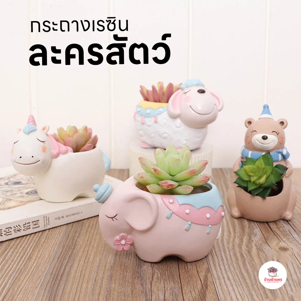 กระถางเรซิน ละครสัตว์ ไม้อวบน้ำ กุหลาบหิน cactus&succulent หลากหลายสายพันธุ์