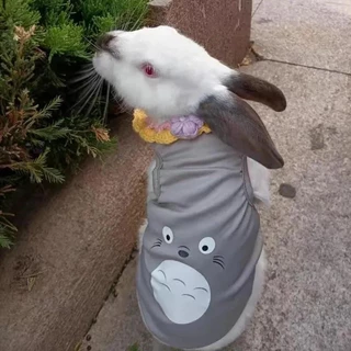 เสื้อกั๊กสัตว์เลี้ยงสําหรับกระต่ายแมวฤดูร้อน Breathable Rabbits เสื้อผ้าผมไม่ติดหวานพิมพ์กระต่ายเสื้อผ้าชุดนอน ubranko dla kota