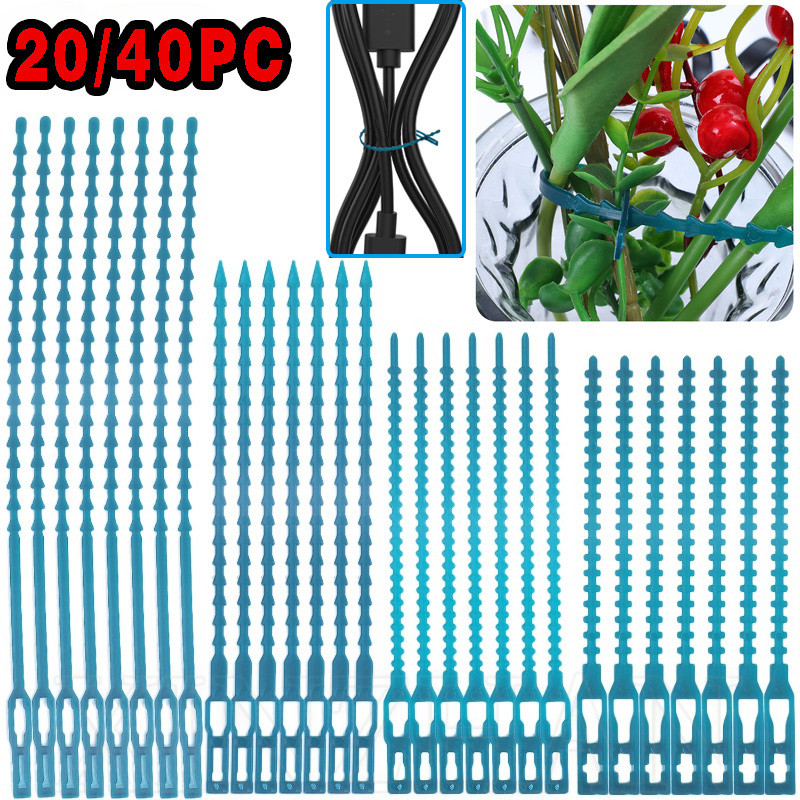 20/40 ชิ้น Fish Bone Plant Zip Ties - Garden Tree Branch Growth Strap Tape - 11-23CM, อเนกประสงค์, ทนทาน, Self-locking Fastener - ชิ้นส่วนทําสวน - ที่เก็บสายเคเบิล