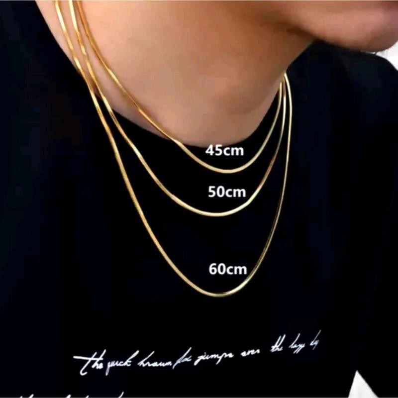 PUTIH ของแท้นําเข้าทนทาน Eel Bone Motif สร้อยคอไทเทเนียมสําหรับผู้ชายและผู้หญิงหนังทองคําขาว