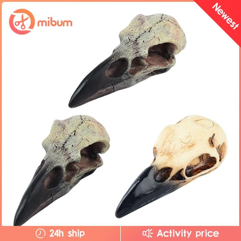 [Mibum] Halloween Raven Decor Wall Sculpture เสื้อผ้ารูปปั้น Raven