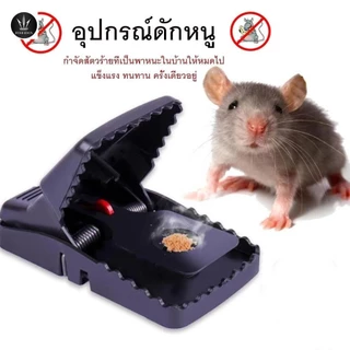 กับดักหนู อุปกรณ์ดักหนู ที่ดักหนู อุปกรณ์ดักหนูแบบสปริง ไม่ต้องใช้สารเคมี ไม่ต้องสัมผัสโดนตัวหนู