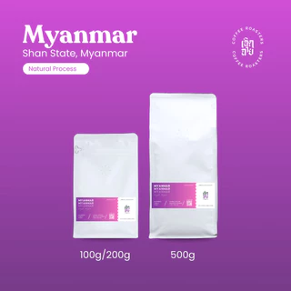 เมล็ดกาแฟ Myanmar Natural process เมล็ดกาแฟคั่วอาราบิก้า Cherdchai Coffee Roasters