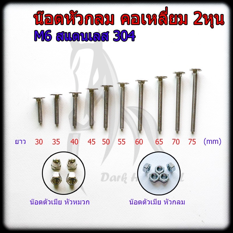 น๊อต น็อต สกรู หัวกลมคอเหลี่ยม (หัวเห็ด) สแตนเลส 304 2หุน (M6)