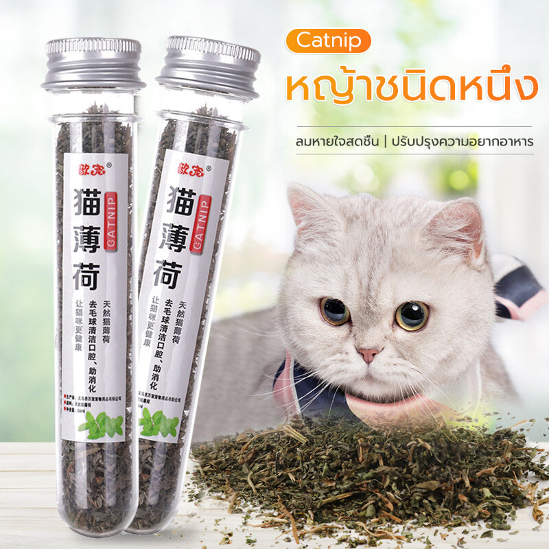 กัญชาแมว Catnip ออร์แกนิคแบบหลอด แคทนิปแมว หญ้าแมว ตำแยแมว ขนมแมว บำรุงแมวอ้วนแมวแข็งแรง ราคาถูก ขนมแมวเลียย