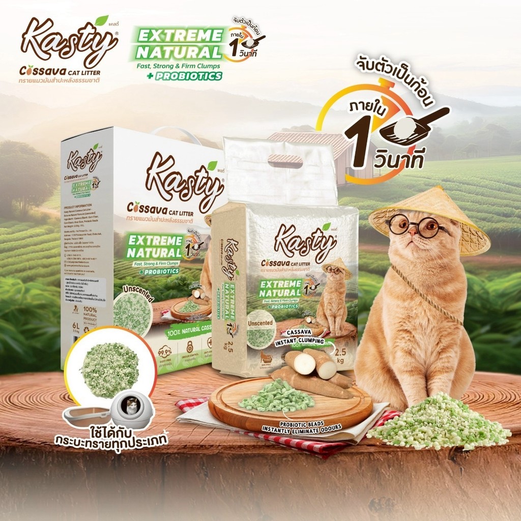 รูปภาพ 6