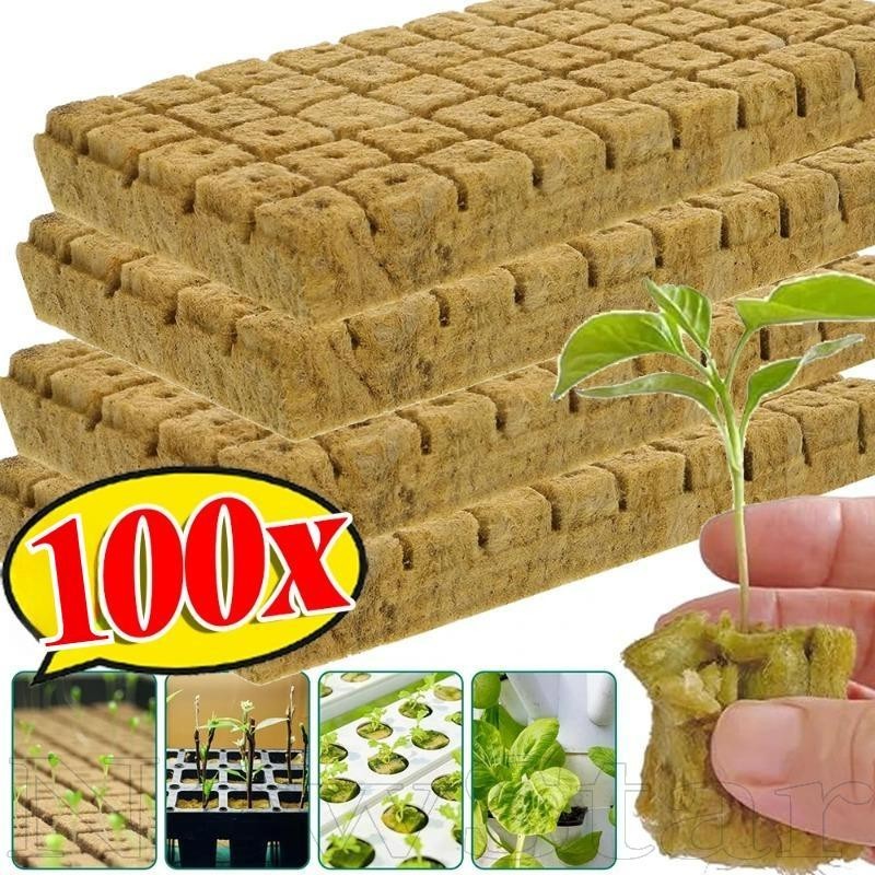 สื่อเพาะต้นกล้าไฮโดรโปนิกส์ สโตนวูล - ฟองน้ําบล สวนเริ่มต้น เติบโตลูกบาศก์