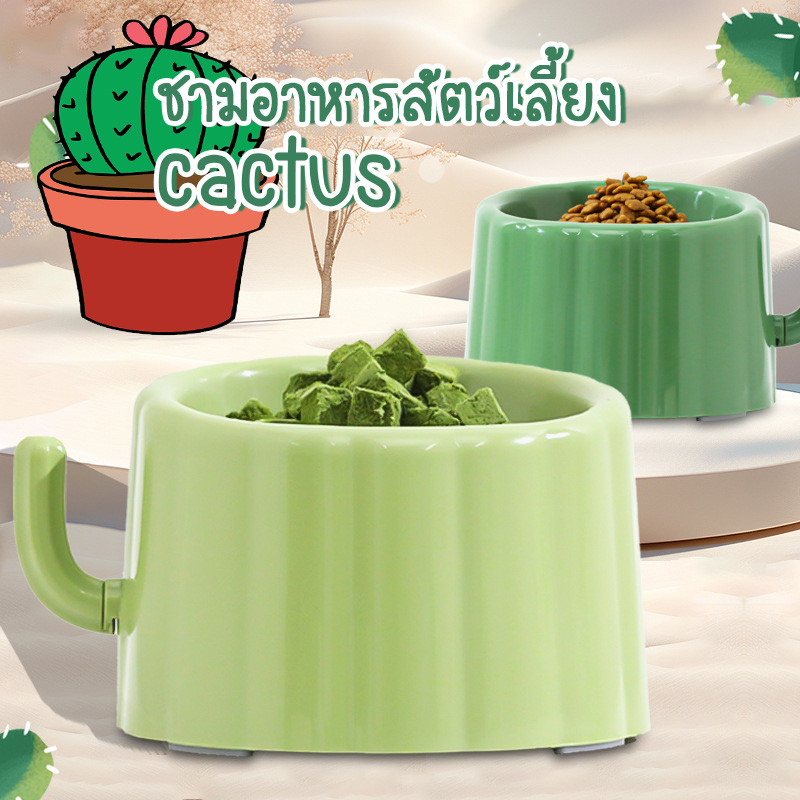 HM-ชามอาหารสัตว์เลี้ยง ทรงตะบองเพชร เอียงรองรับกับคอ 15 องศา ชามรูปทรงแคคตัส พร้อมส่ง