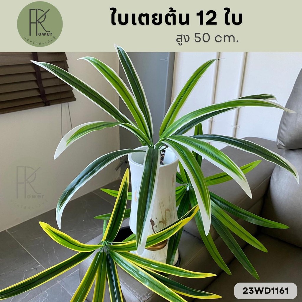 ใบเตยต้น 12 ใบ สูง 50 cm.  (ใบเตยอย่างดี 1ต้นมี 12 ใบดัดได้) ใช้ตกแต่ง ใบไม้ปลอม ใส่แจกัน สวย สีสด ทน