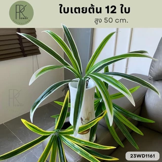 ใบเตยต้น 12 ใบ สูง 50 cm. (ใบเตยอย่างดี 1ต้นมี 12 ใบดัดได้) ใช้ตกแต่ง ใบไม้ปลอม ใส่แจกัน สวย สีสด ทน