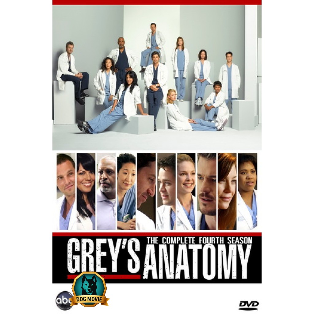 DVD Grey s Anatomy Season 4 แพทย์มือใหม่หัวใจเกินร้อย ปี 4