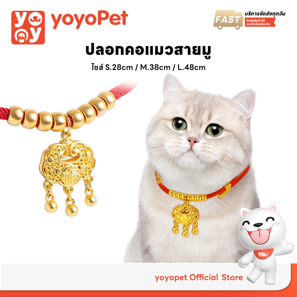 yoyopet : ปลอกคอแมวสายมู ปลอกคอนำโชค ด้ายแดง เครื่องประดับปลอกคอสัตว์เลี้ยง จี้ทอง มีหลายขนาด