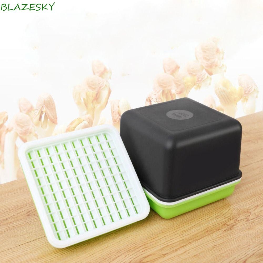Blazesky ถาดต้นกล้ามัลติฟังก์ชั่น 4 ชิ้นกระเทียมถั่วงอก Hydroponic Soilless Water Cultivation Sprout กล่องปลูก